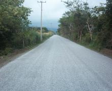 CAFETAL ESPINAL