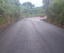 CAFETAL ESPINAL